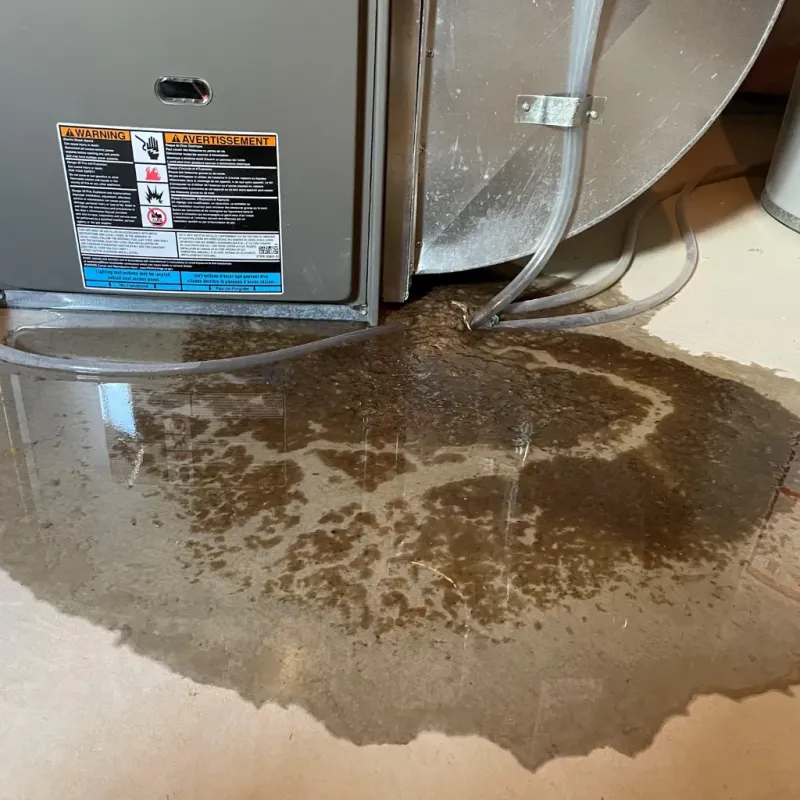 Appliance Leak Cleanup in Salem, OH